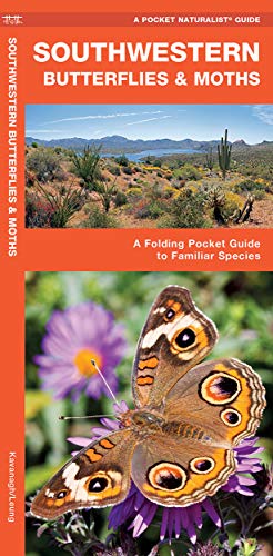Beispielbild fr Southwestern Butterflies & Moths zum Verkauf von Pine Cone Books