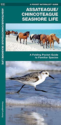 Assateague/Chincoteague Seashore Life: A Folding Pocket Guide to Familiar Species (A Pocket Naturalist Guide) (9781583553367) by Kavanagh, James; Press, Waterford