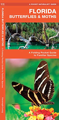 Stock image for Florida Butterflies and Moths : A Folding Pocket Guide to Familiar Species for sale by Better World Books: West