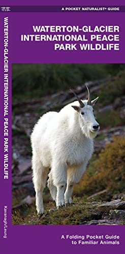 Stock image for Waterton-Glacier International Peace Park Wildlife : A Folding Pocket Guide to Familiar Species for sale by Better World Books: West