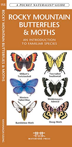 Rocky Mountain Butterflies & Moths: A Folding Pocket Guide to Familiar Species (A Pocket Naturalist Guide) (9781583553664) by Kavanagh, James; Press, Waterford