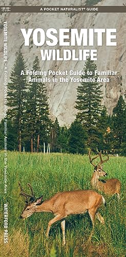 Beispielbild fr Yosemite Wildlife: A Folding Pocket Guide to Familiar Animals in the Yosemite Area (Wildlife and Nature Identification) zum Verkauf von Books From California