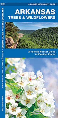 Beispielbild fr Arkansas Trees and Wildflowers : A Folding Pocket Guide to Familiar Species zum Verkauf von Better World Books