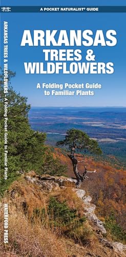 Stock image for Arkansas Trees and Wildflowers : A Folding Pocket Guide to Familiar Species for sale by Better World Books