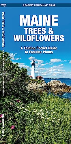 Beispielbild fr Maine Trees & Wildflowers: A Folding Pocket Guide to Familiar Plants (Wildlife and Nature Identification) zum Verkauf von BooksRun