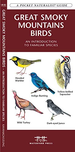 Beispielbild fr Great Smoky Mountain Birds : An Introduction to Familiar Species zum Verkauf von Better World Books