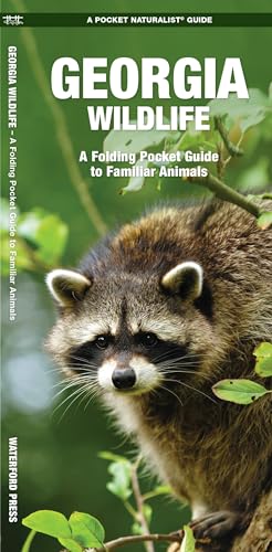 9781583554456: Georgia Wildlife: A Folding Pocket Guide to Familiar Animals (Wildlife and Nature Identification)
