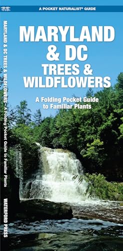 

Maryland & DC Trees & Wildflowers : An Introduction to Familiar Species