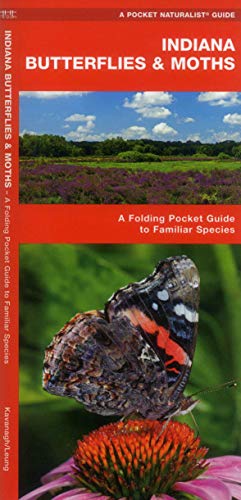 Indiana Butterflies & Moths: An Introduction to Familiar Species (State Nature Guides) (9781583554609) by Kavanagh, James