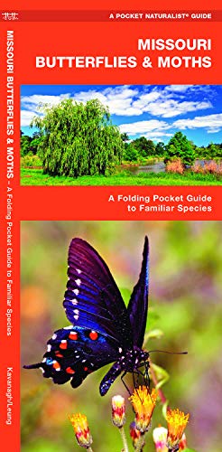 Missouri Butterflies & Moths: A Folding Pocket Guide to Familiar Species (A Pocket Naturalist Guide) (9781583554630) by Kavanagh, James; Press, Waterford