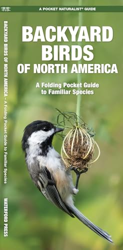 Stock image for Backyard Birds of North America : A Folding Pocket Guide to Familiar Species for sale by Better World Books
