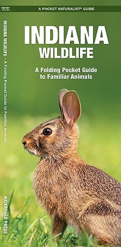 Indiana Wildlife: A Folding Pocket Guide to Familiar Animals (Wildlife and Nature Identification) (9781583554760) by Waterford Press Waterford Press