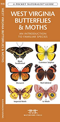 9781583554852: West Virginia Butterflies & Moths: A Folding Pocket Guide to Familiar Species (A Pocket Naturalist Guide)