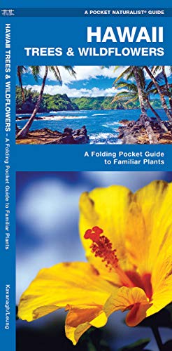 Stock image for Hawaii Trees & Wildflowers: A Folding Pocket Guide to Familiar Plants (Wildlife and Nature Identification) for sale by Half Price Books Inc.