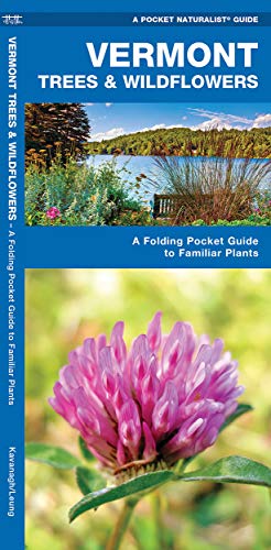 

Vermont Trees & Wildflowers: A Folding Pocket Guide to Familiar Species (A Pocket Naturalist Guide) [No Binding ]