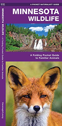 Imagen de archivo de Minnesota Wildlife: A Folding Pocket Guide to Familiar Animals (Wildlife and Nature Identification) a la venta por Goodwill