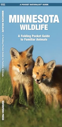 Stock image for Minnesota Wildlife: A Folding Pocket Guide to Familiar Animals (Wildlife and Nature Identification) for sale by Goodwill