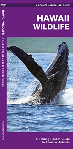 Stock image for Hawaii Wildlife: A Folding Pocket Guide to Familiar Animals (Wildlife and Nature Identification) for sale by Books-FYI, Inc.