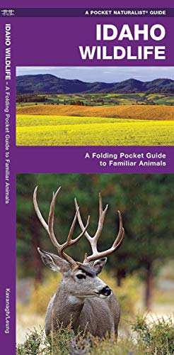 9781583556269: Idaho Wildlife: A Folding Pocket Guide to Familiar Animals (Wildlife and Nature Identification)