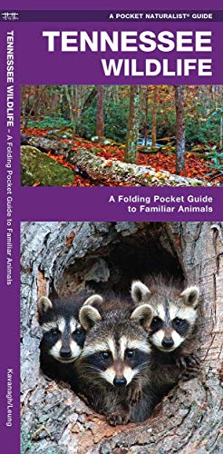 Stock image for Tennessee Wildlife: A Folding Pocket Guide to Familiar Animals (Wildlife and Nature Identification) for sale by Half Price Books Inc.