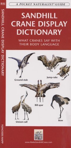 9781583556429: Sandhill Crane Display Dictionary: What Cranes Say With Their Body Language