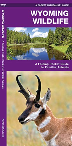 

Wyoming Wildlife: A Folding Pocket Guide to Familiar Species (A Pocket Naturalist Guide) [No Binding ]