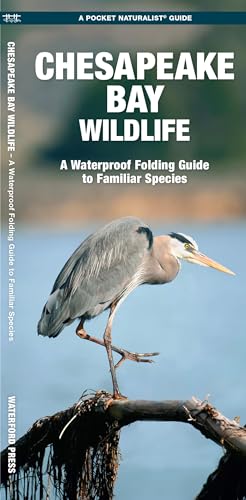 

Chesapeake Bay Wildlife: A Folding Pocket Guide to Familiar Species (A Pocket Naturalist Guide) [No Binding ]