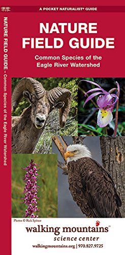 Nature Field Guide: Common Species of the Eagle River Watershed (A Pocket NaturalistÂ® Guide) (9781583556863) by Kavanagh, James