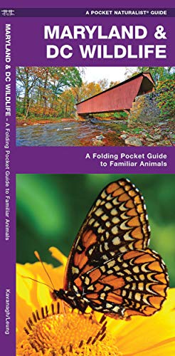 

Maryland & DC Wildlife: A Folding Pocket Guide to Familiar Species (A Pocket Naturalist Guide) [No Binding ]