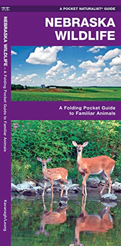 9781583556948: Nebraska Wildlife: A Folding Pocket Guide to Familiar Animals (Wildlife and Nature Identification)