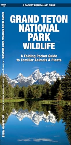 Grand Teton National Park Wildlife: A Folding Pocket Guide to Familiar Animals & Plants (Wildlife and Nature Identification) (9781583557648) by Kavanagh Waterford Press, James; Waterford Press Waterford Press