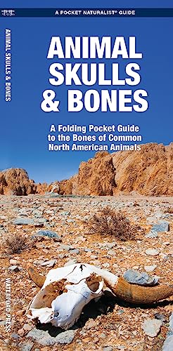 

Animal Skulls & Bones Laminated: A Laminated Folding Guide to the Bones of Common North American Animals (Outdoor Skills and Preparedness)