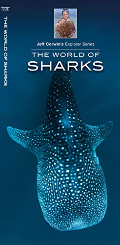 Stock image for The World of Sharks (Wildlife and Nature Identification) for sale by HPB-Diamond