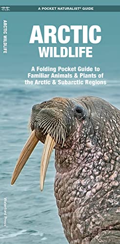 

Arctic Wildlife: An Introduction to Familiar Species (A Pocket Naturalist Guide) [No Binding ]