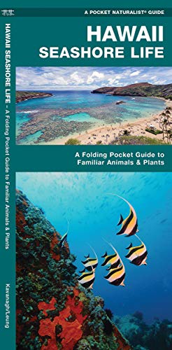 

Hawaii Seashore Life: An Introduction to Familiar Species (A Pocket Naturalist Guide)