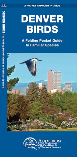 Imagen de archivo de Denver Birds: A Folding Pocket Guide to Familiar Species (Pocket Naturalist Guides) a la venta por Goodwill of Colorado