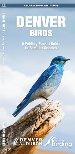 Stock image for Denver Birds: A Folding Pocket Guide to Familiar Species (Pocket Naturalist Guides) for sale by GF Books, Inc.