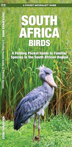 Stock image for South Africa Birds A Folding Pocket Guide to Familiar Species A Pocket Naturalist Guide for sale by PBShop.store US