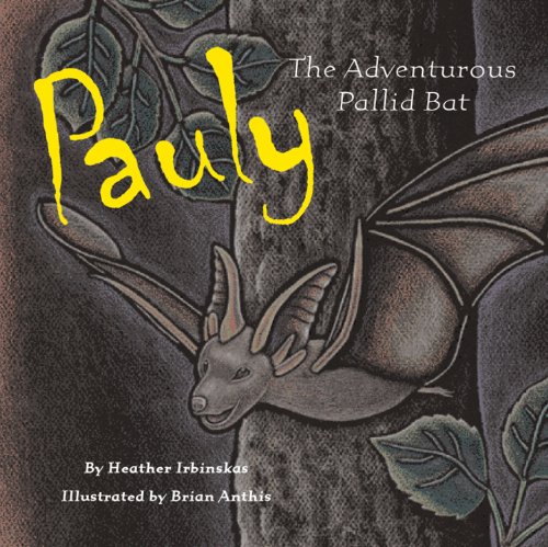 Stock image for Pauly, the Adventurous Pallid Bat for sale by SecondSale