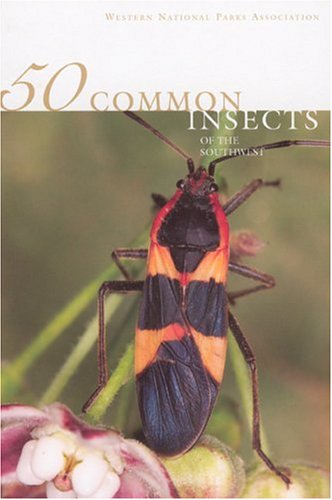 Beispielbild fr 50 Common Insects of the Southwest zum Verkauf von SecondSale