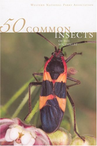 Stock image for 50 Common Insects of the Southwest for sale by ThriftBooks-Atlanta