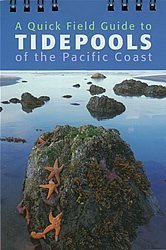 9781583690857: A Quck Field Guide to Tidepools of the Pacific Coast