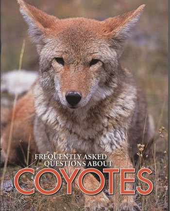 Beispielbild fr Coyotes (Frequently Asked Questions About) zum Verkauf von SecondSale