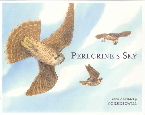 Stock image for Peregrine's Sky for sale by SecondSale