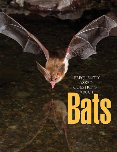 Imagen de archivo de Frequently Asked Questions About Bats a la venta por Wonder Book