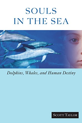 Stock image for Souls in the Sea: Dolphins, Whales, and Human Destiny for sale by Orion Tech