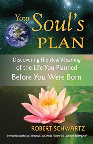 Stock image for Your Soul's Plan for sale by Blackwell's