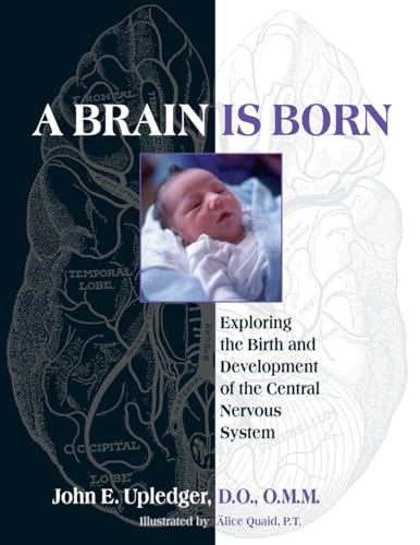 Stock image for A Brain Is Born: Exploring the Birth and Development of the Central Nervous System for sale by HPB-Red
