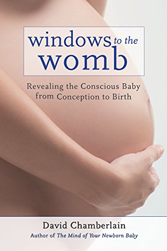 Imagen de archivo de Windows to the Womb : Revealing the Conscious Baby from Conception to Birth a la venta por Better World Books