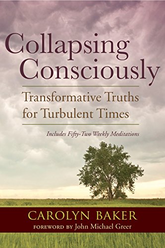 Stock image for Collapsing Consciously: Transformative Truths for Turbulent Times (Sacred Activism) for sale by Book Lover's Warehouse